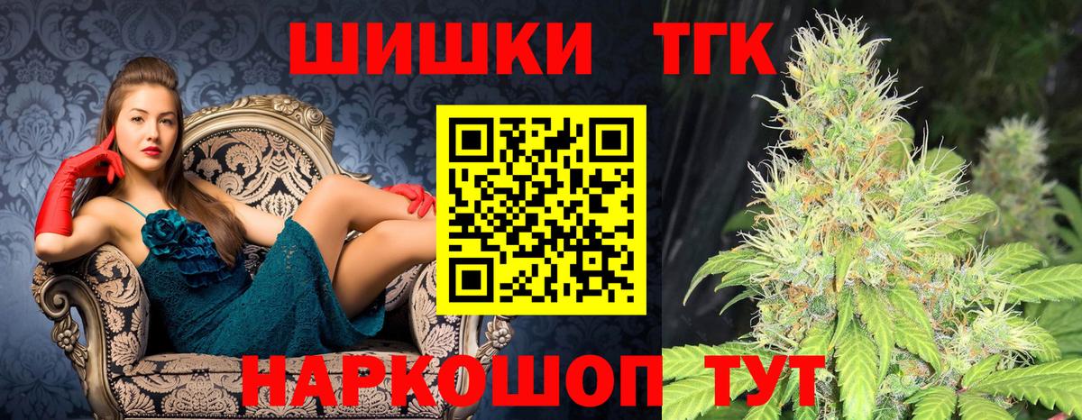 Конопля планчик Гай